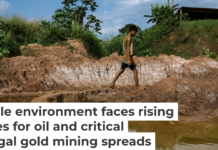 Open pit gold mines have spread across large areas of the Orinoco Mining Belt in recent years. Magda Gibelli / AFP via Getty Images
